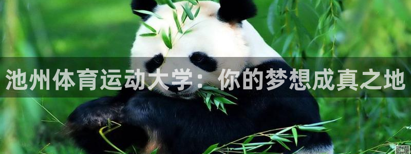 杭州意昂科技有限公司