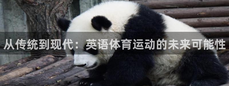 意昂体育官网：从传统到现代：英语体育运动的未来可能性